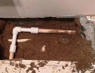 宣恩测漏水哪家好